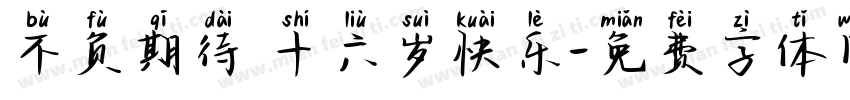 不负期待 十六岁快乐字体转换